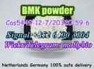 Easy recipe new bmk powder CAS5449-12-7 